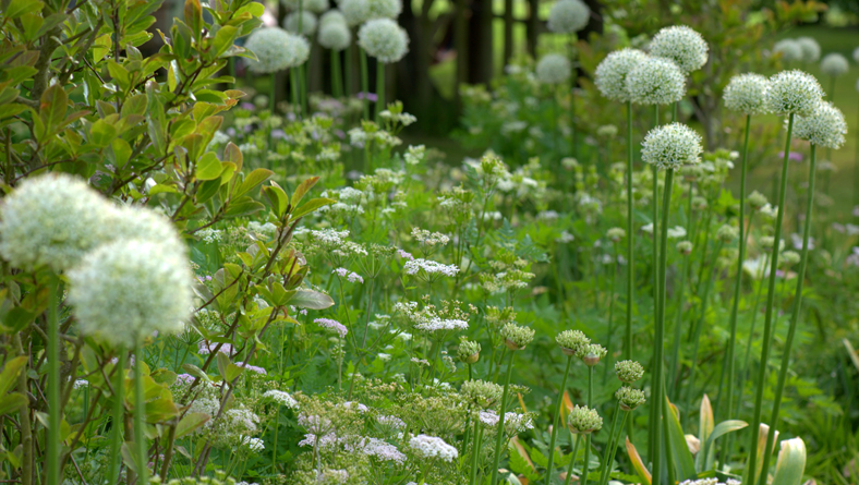 Garden Designer Landscaper Justin Spink