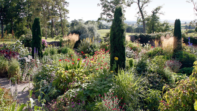 Garden Designer Landscaper Justin Spink