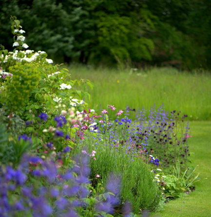 Garden Designer Justin Spink Cottage Garden beneath the Whitehorse