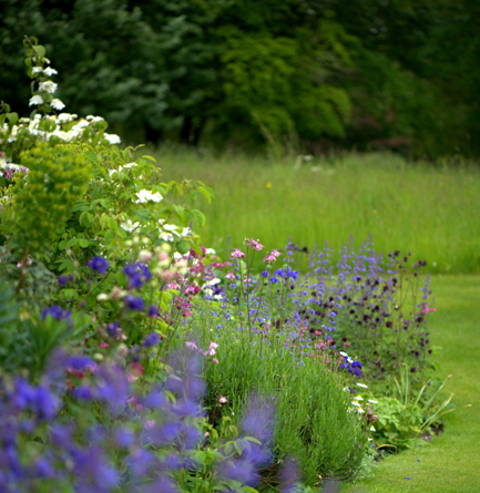 Garden Designer Justin Spink Cottage Garden beneath the Whitehorse