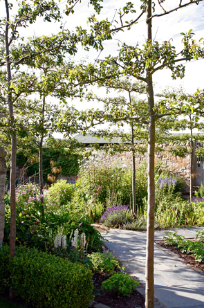 Garden Designer Justin Spink Cottage Farmhouse in Cheviots