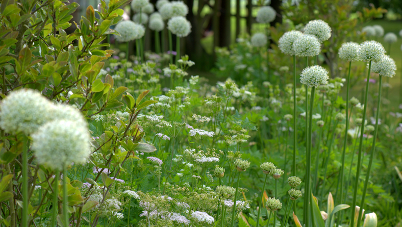 Garden Designer Justin Spink Cottage Garden for a new Farmhouse