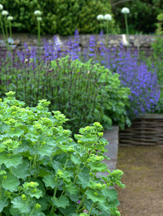 Garden Designer Justin Spink Cottage Garden in the Cotswolds