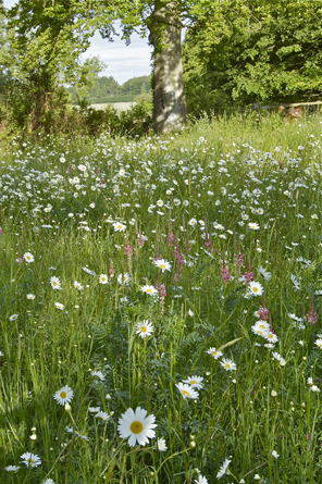 Garden Designer Justin Spink Manor House