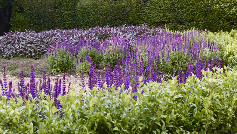 Garden Designer Justin Spink Manor House