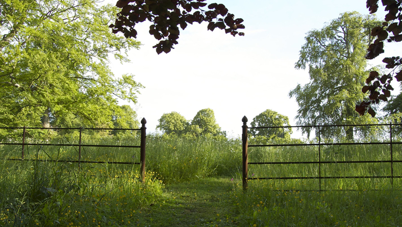 Garden Designer Justin Spink Manor House