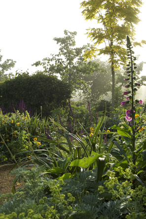 Garden Designer Justin Spink Wiltshire Garden